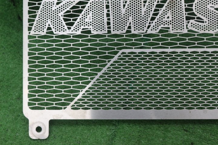 48996/O*Z900RS.(ZR900C/ZR900K)2021- радиатор core защита 4