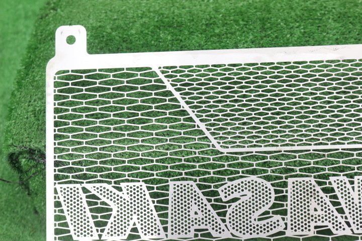 48996/O*Z900RS.(ZR900C/ZR900K)2021- радиатор core защита 4