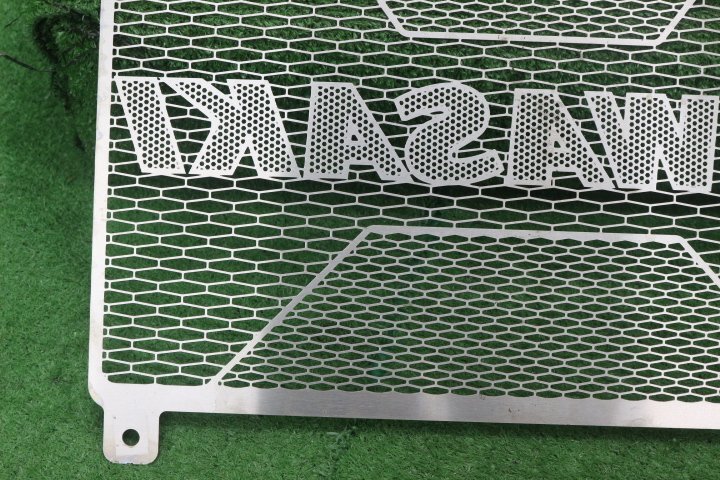 48996/O*Z900RS.(ZR900C/ZR900K)2021- радиатор core защита 4