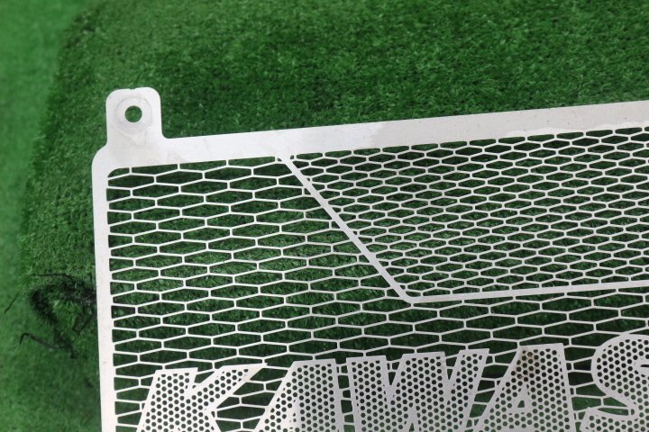 48996/O*Z900RS.(ZR900C/ZR900K)2021- радиатор core защита 4