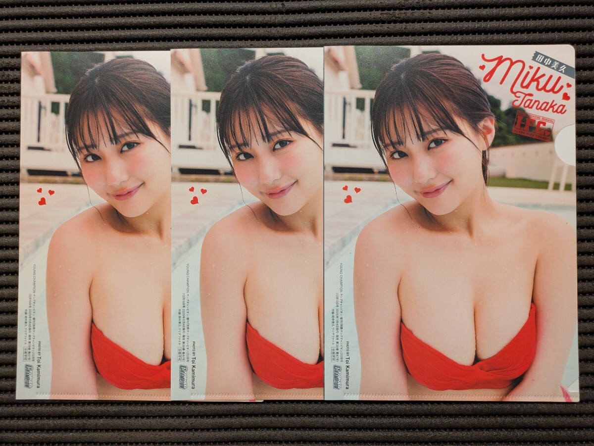 [ прозрачный файл 3 шт. комплект / рисовое поле Nakami .] отдельный выпуск Young Champion 2025 год 12 месяц номер дополнение 