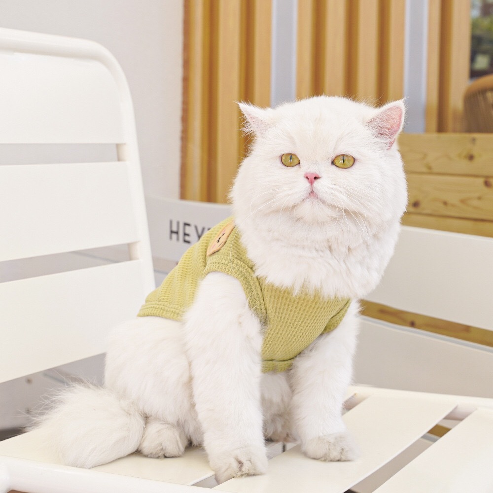 犬服 猫服 ペット服 XLサイズ 緑色　適応体重：4〜6kg_画像5