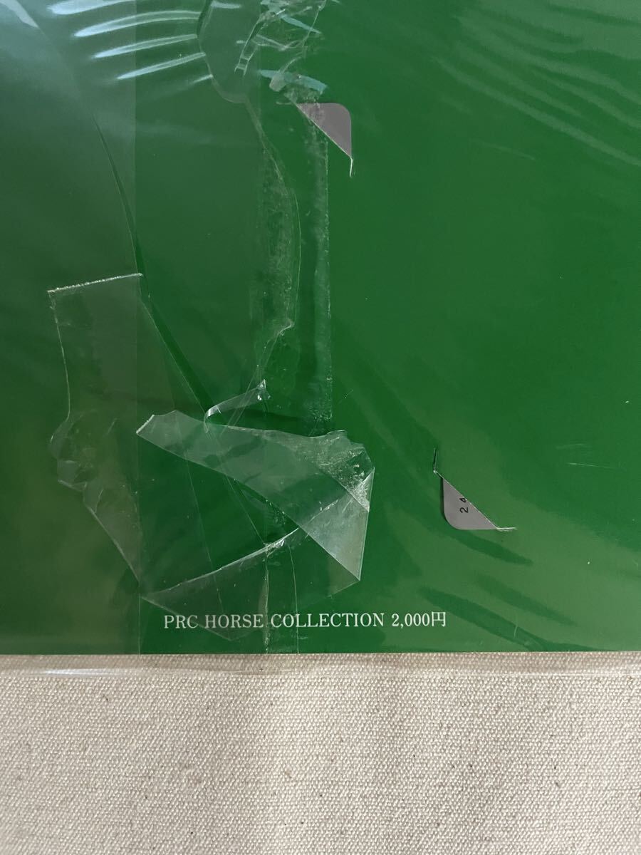 JRA テレカ 2枚組 引退記念 Forever シーザリオ 未開封 ウマ娘 _画像3