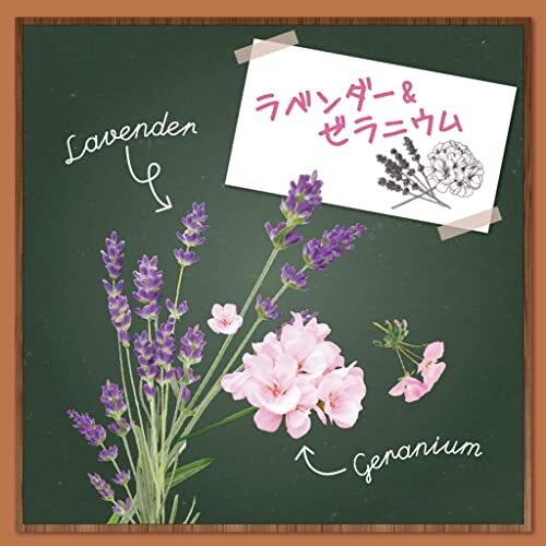 m колодка dabotanikaru аромат одежда средство от моли защита от плесени . сочетание шкаф для лаванда & герань 3 штук действительный 