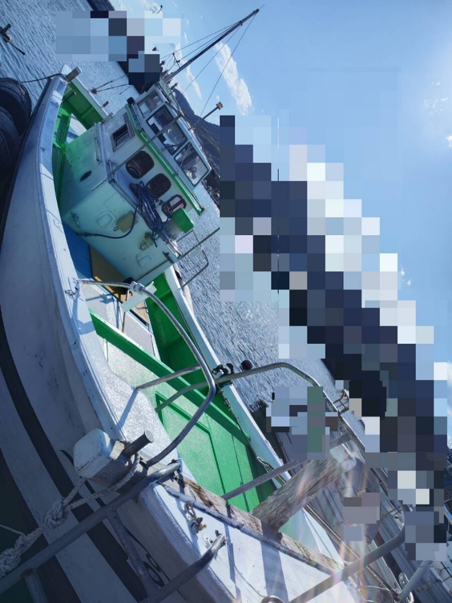 ヤンマー GA31 6PH-T 漁船 釣り ジギング アジング エギング 広島 山口 大型いけす 物入れ多数 _画像8