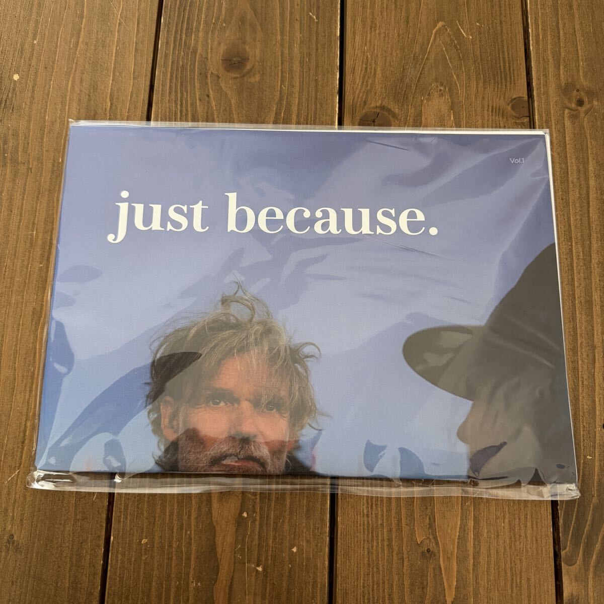 【ジャンク】BALMUDA スチームトースター The Toaster pro K05A-SE_画像9