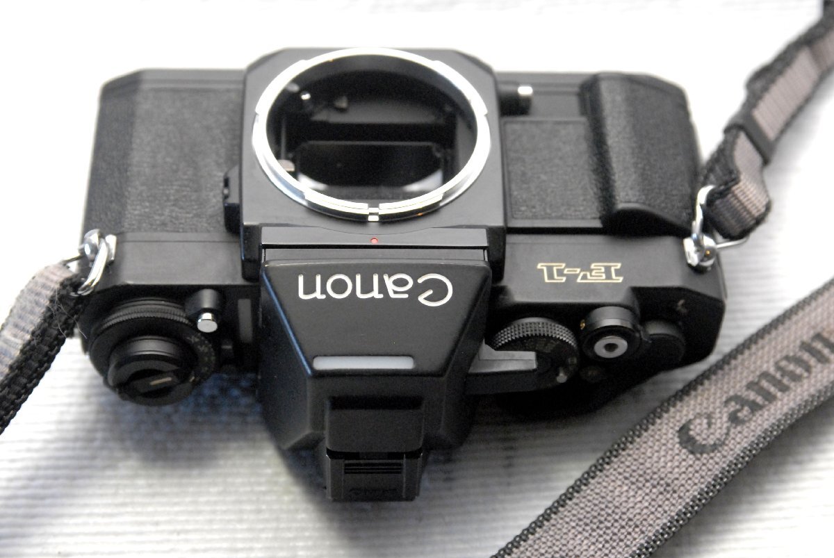 ( красивый )Canon Canon пик однообъективный зеркальный камера NEW F-1 корпус +(AE искатель есть ) редкий работа товар ( коррозия нет )