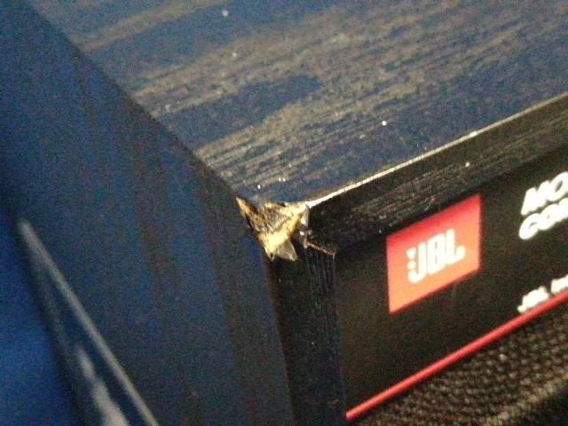 【u065】JBL 4312M II ブラック　ジェービーエル スピーカー ペア 音出し動作確認済み_画像6