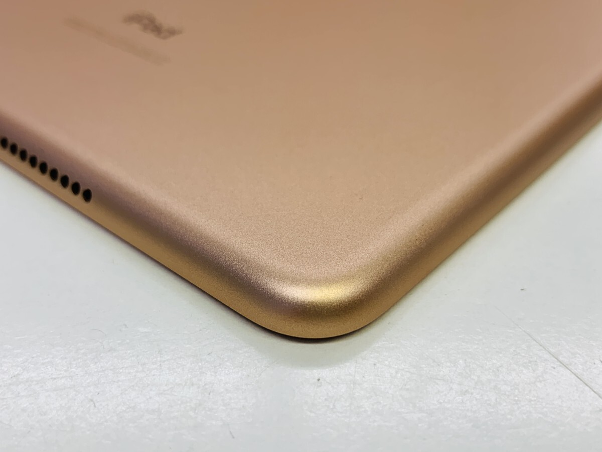 ★送料無料★良品★docomo★A2124iPad mini (第 5 世代) Wi-Fi + Cellular 64GB★ゴールド★0080280001744★SYS★11/10_画像3
