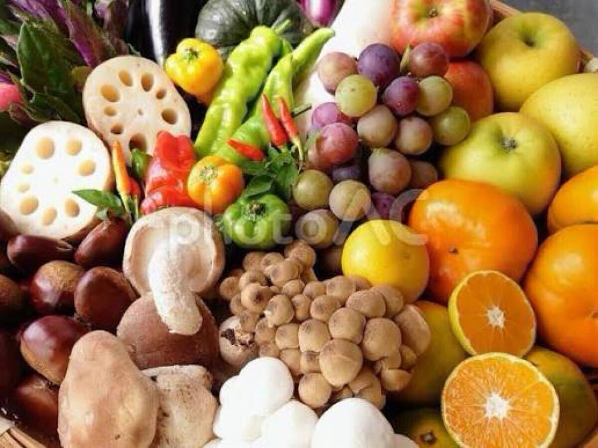 【1円即決】 相互評価 評価回復 送料無料 入札評価制限なし 画像データ フリー画像 旬野菜_画像1