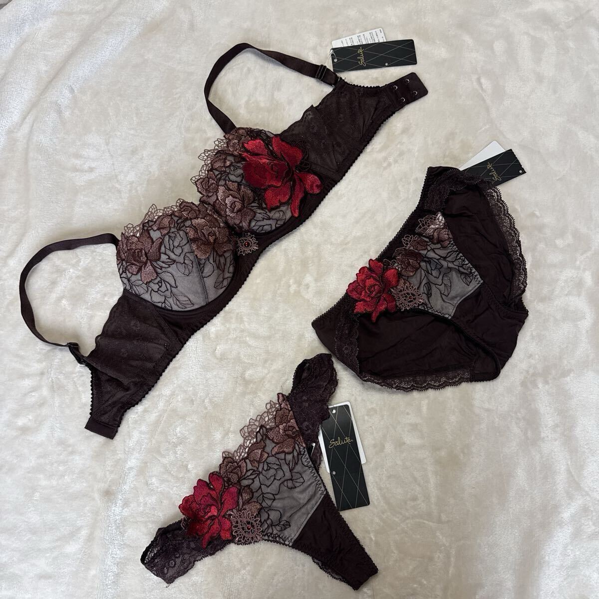 サルート76Gリッチヴェール WACOAL F65ショーツセット_画像1