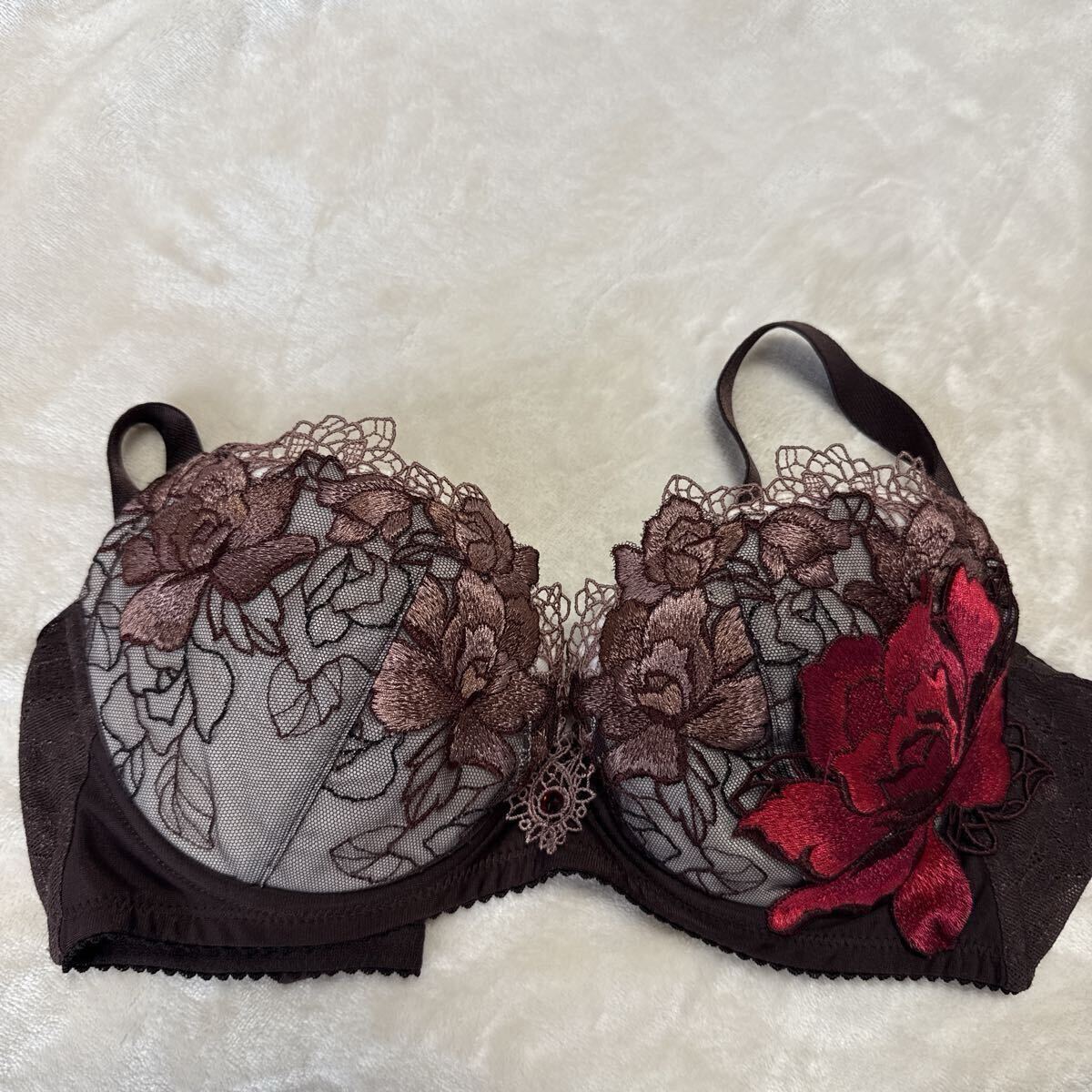 サルート76Gリッチヴェール WACOAL F65ショーツセット_画像3