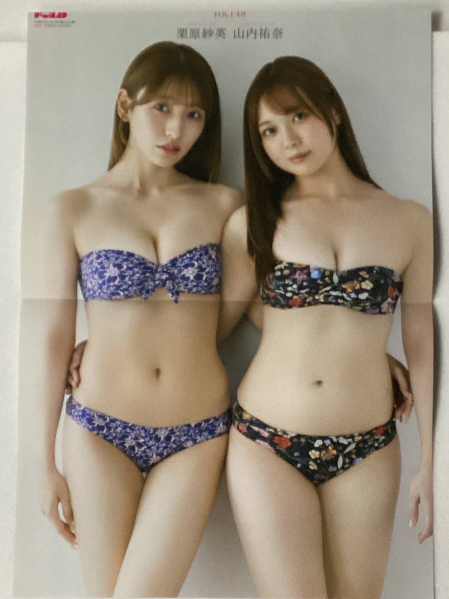 .. love . каштан .. Британия гора внутри .. постер BOMB 2025 год 8 месяц номер дополнение постер только 2511 28