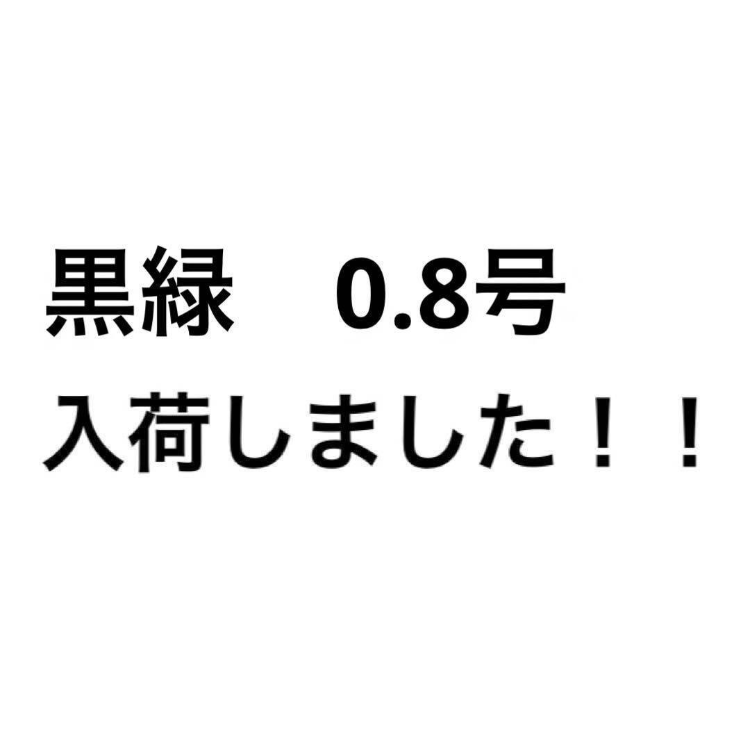 ナイロン フィッシング ライン 0.8号 100m 1個 黒緑 釣糸 道糸_画像4