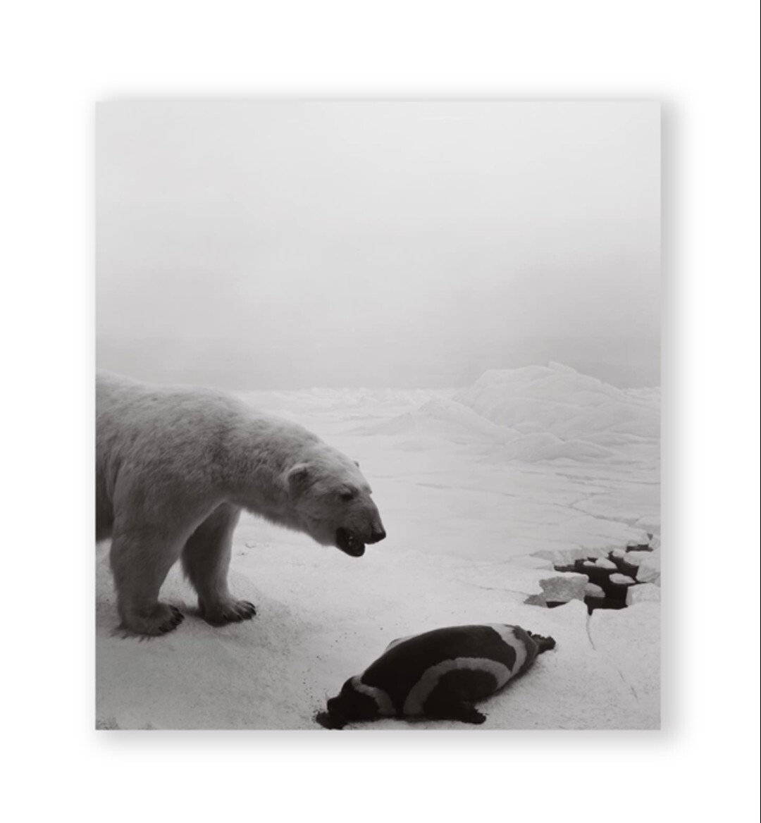 Dioramas / 杉本博司 Hiroshi Sugimoto　写真集_画像1