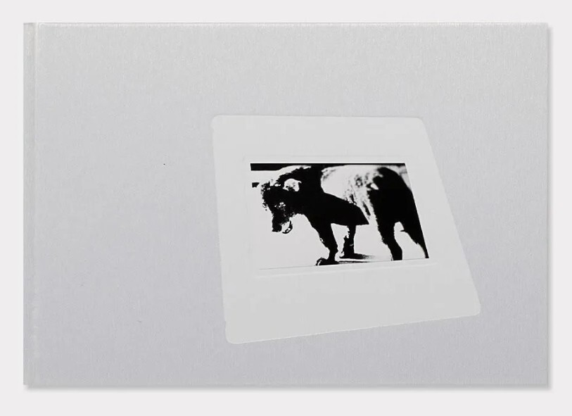 DAIDO SLIDE LEFT 森山大道_画像1