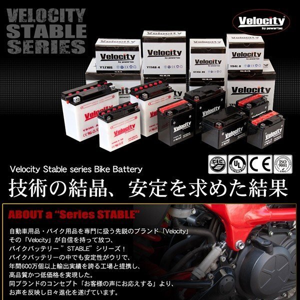 12N5.5-3B バイクバッテリー 開放式 液付属 Velocity_画像5