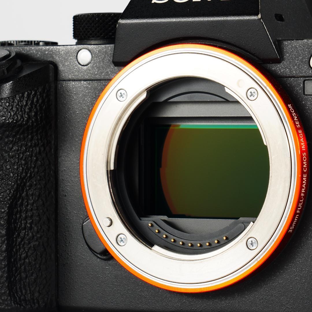  ограничение освобождение! темнота. . человек SONY α7S II ограничение отмена settled ILCE-7SM2 32