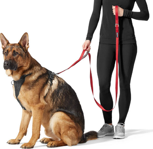 送料300円(税込)■zb725■アマゾンベーシック ダブルハンドル ドッグリード 1.8m(60665) 20点【シンオク】_画像7