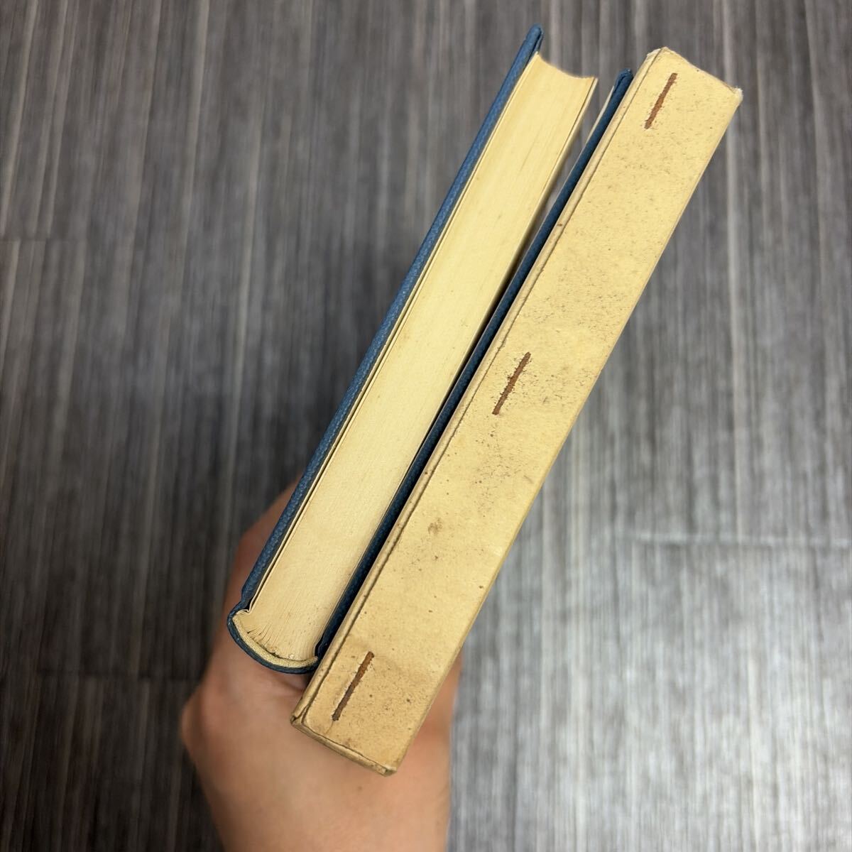 初版●近代的人間像の解釈と分析 ディルタイ 著/小林靖昌 訳/昭和41年/理想社/ルネッサンス/マキアヴェリ/ルター/宗教革命/理想★4193-10_画像5