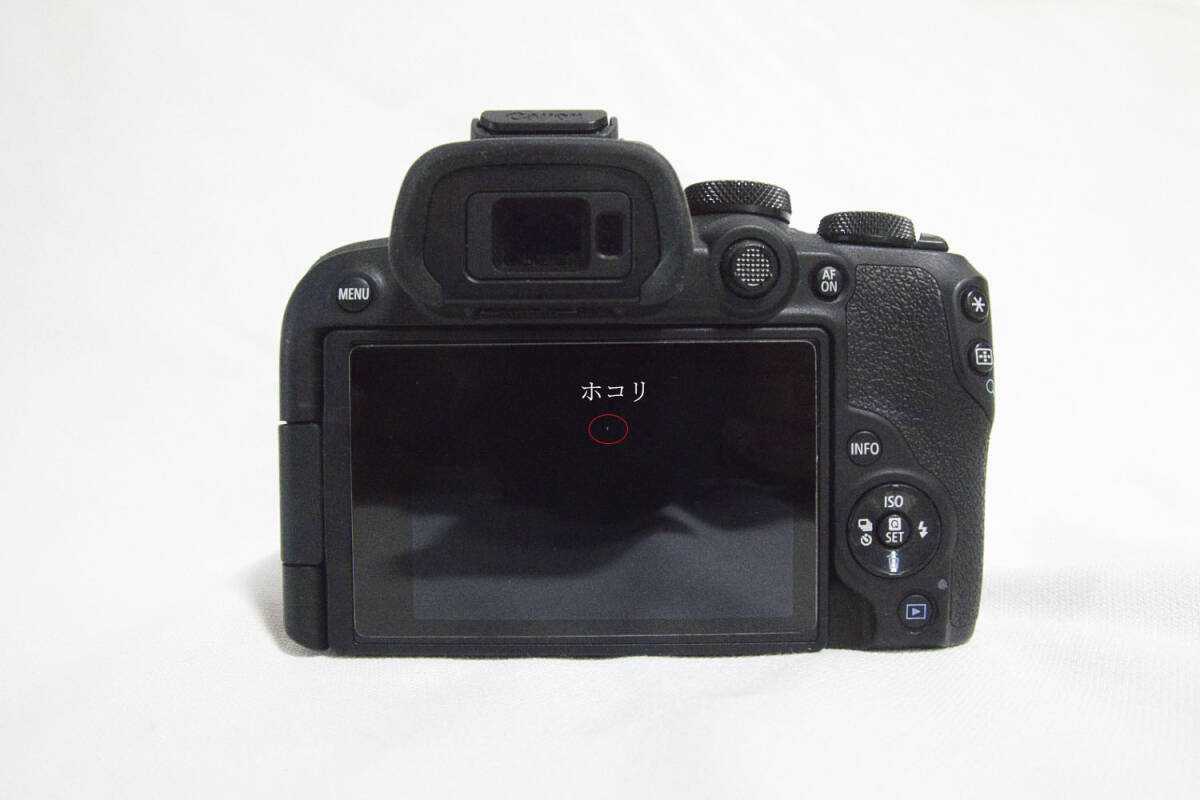 CANON EOS R10