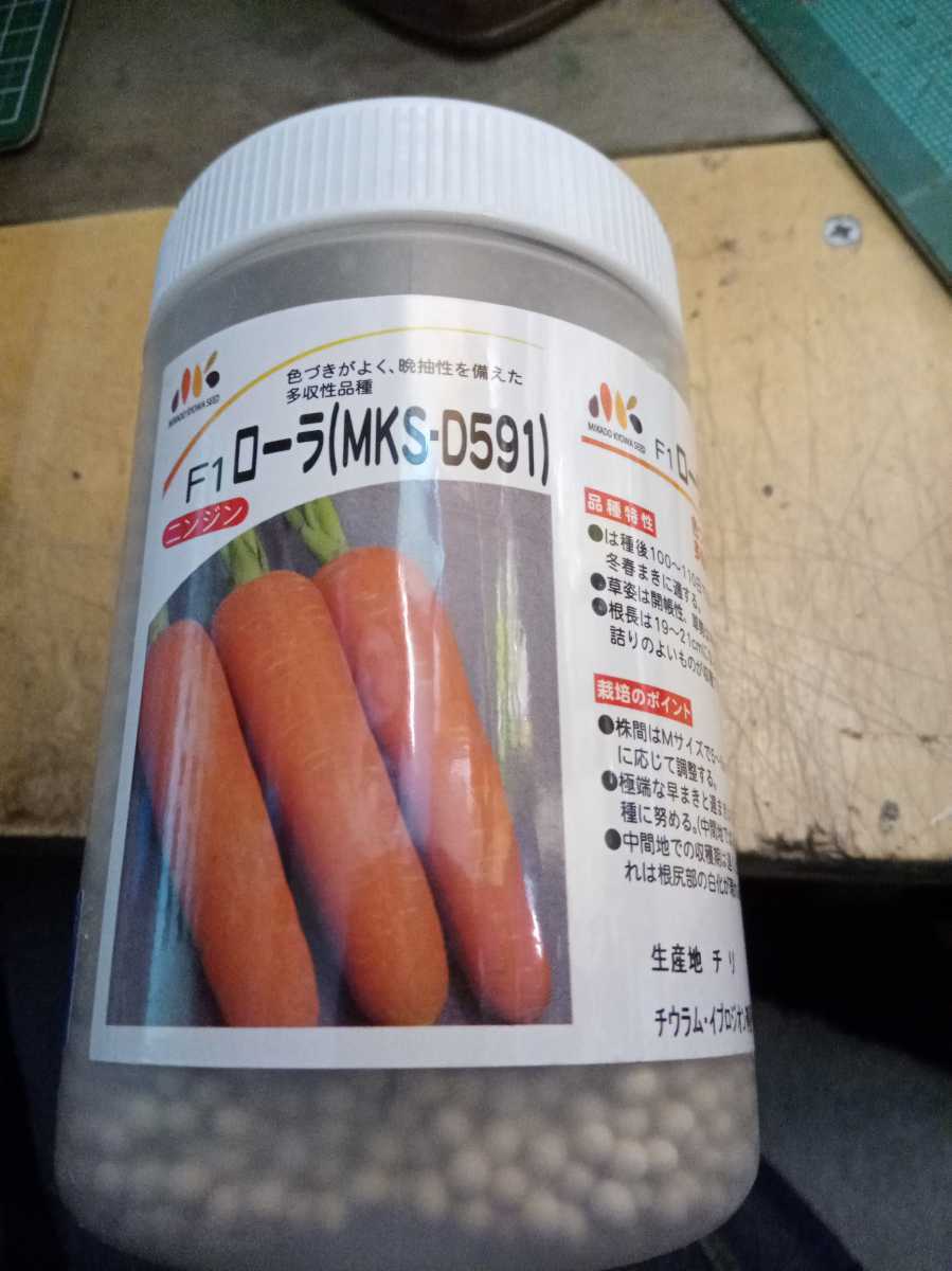 春冬まき・夏まき人参の種　品種名　ローラ　約200粒位_画像1