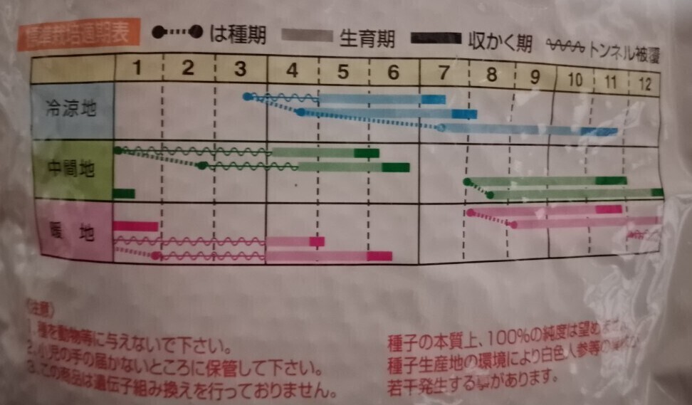人参の種　品種名アロマレッド　約200粒 にんじん ペレット種子_画像3
