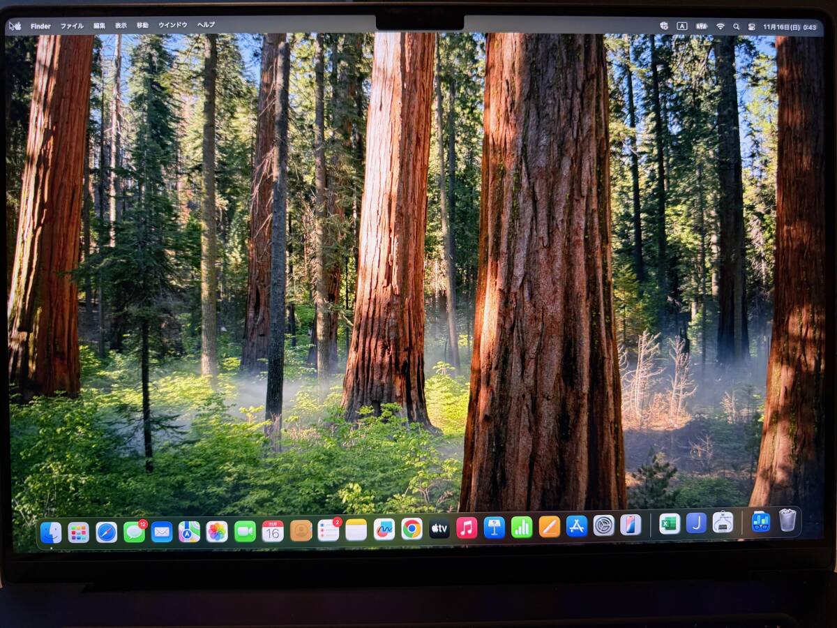 M4 Pro Macbook Pro 16インチ 2024年モデル スペースブラック SSD512GB メモリ24GB MX2X3J/A_画像3