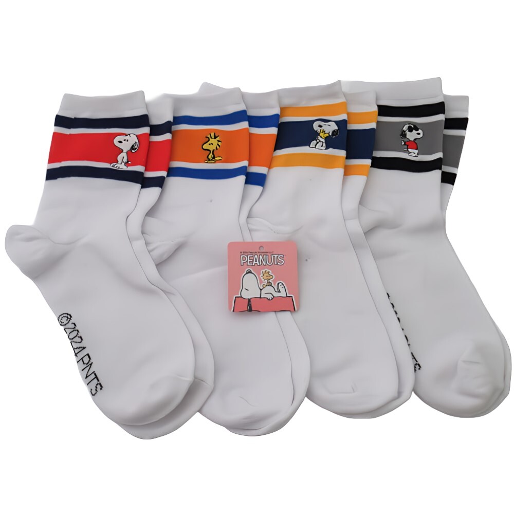 スヌーピー刺繍 柄ソックス 4足セット+スヌーピー 柄マスク 4枚セット レディース ガール size 約20-24cm 綿混素材 SNOOPY_画像1