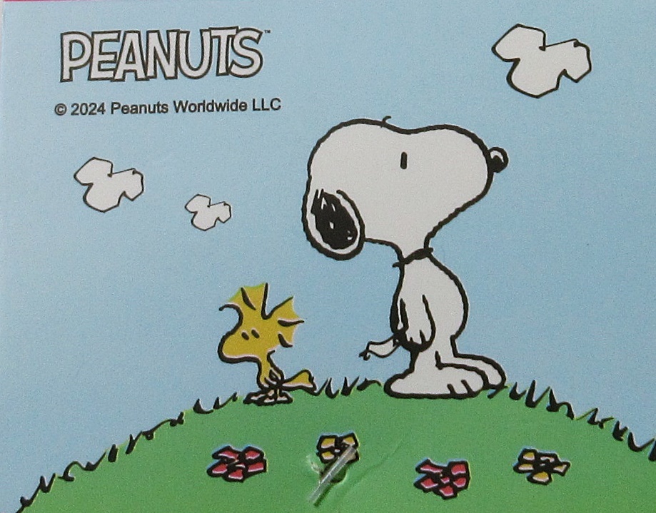 スヌーピー刺繍 柄ソックス 4足セット+スヌーピー 柄マスク 4枚セット レディース ガール size 約20-24cm 綿混素材 SNOOPY_画像8