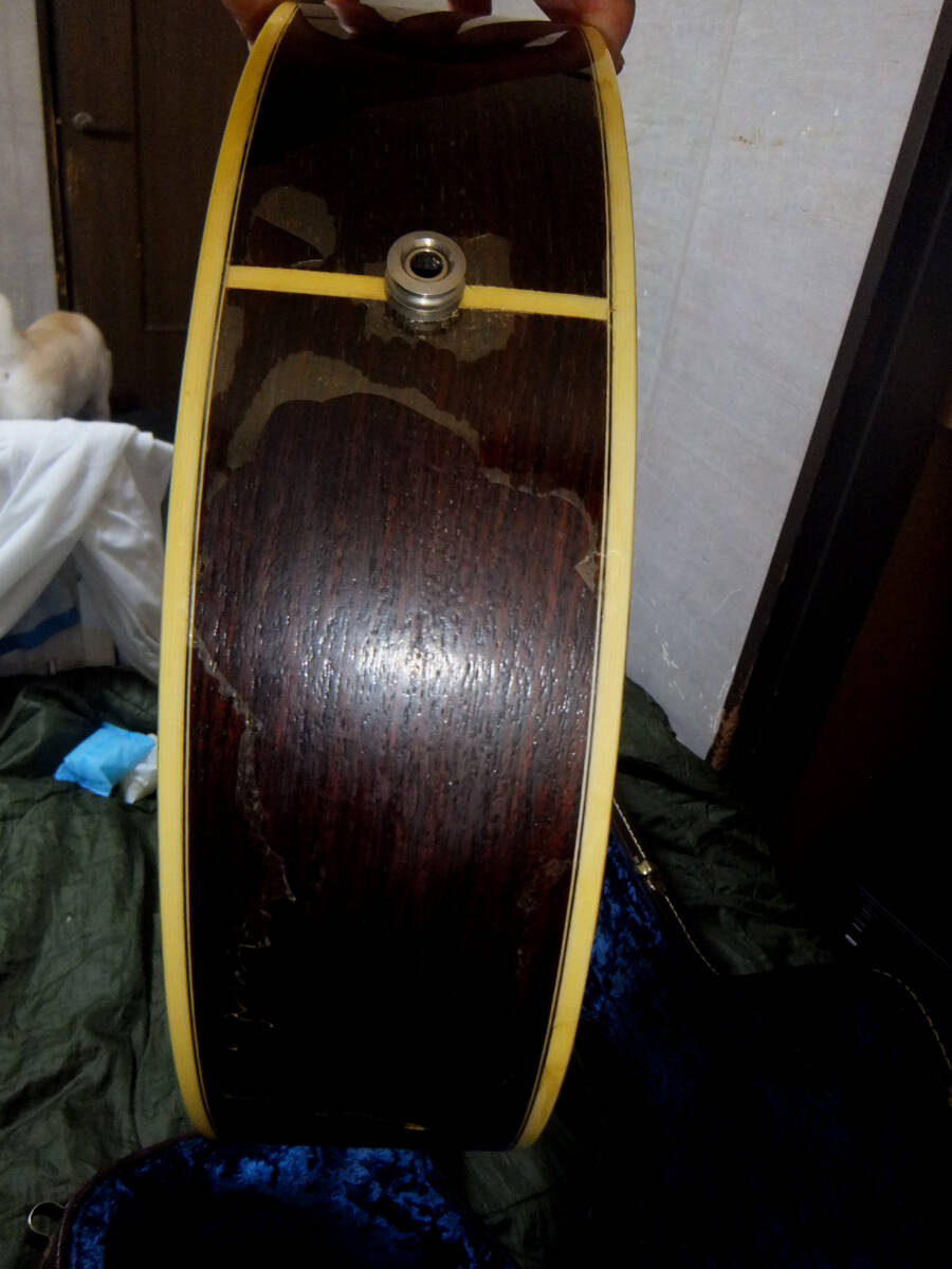 TACOMA C3C Chief серии высший тип sp разрозненный & rose одиночный доска 