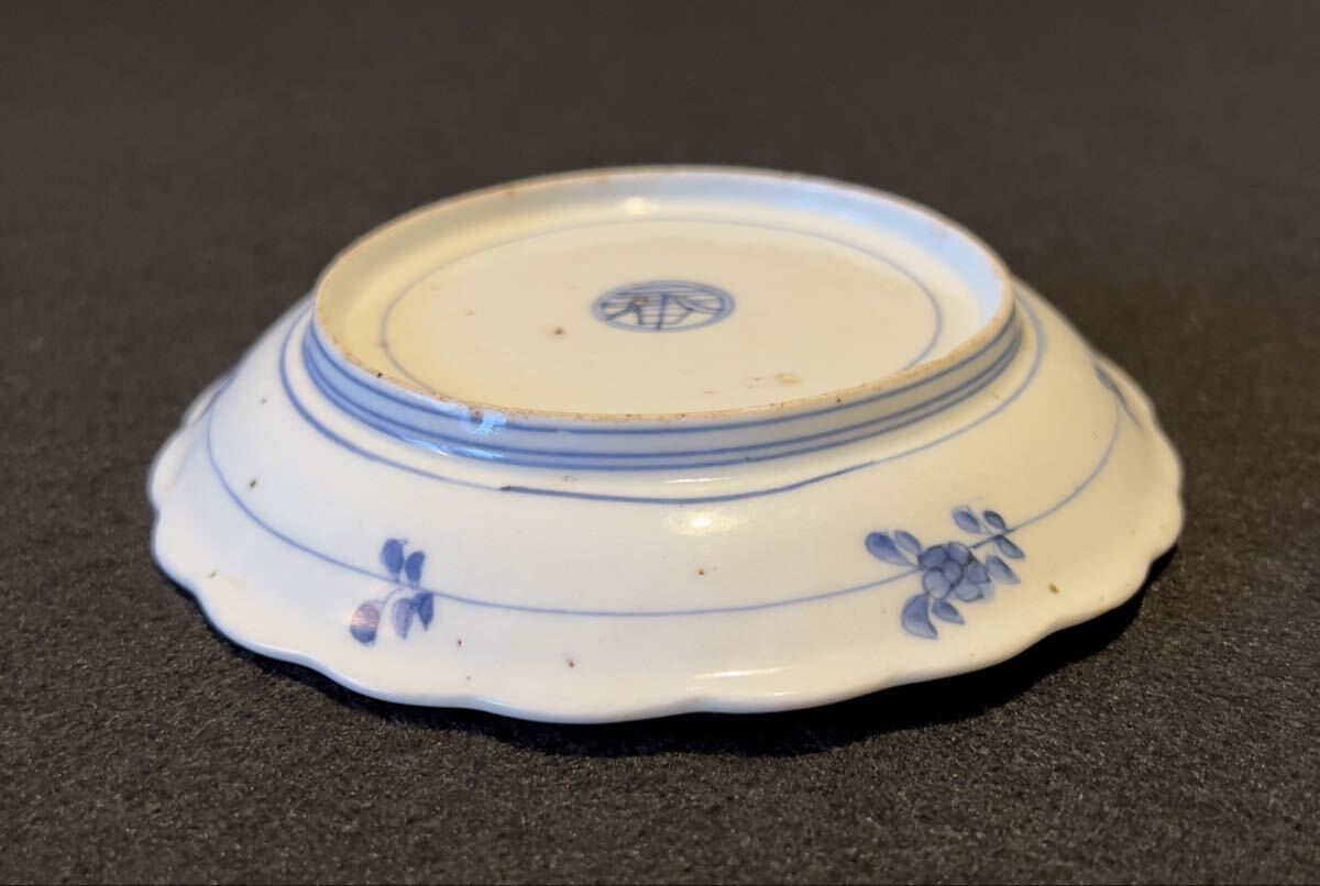 古伊万里 江戸中期 古染付 花鳥紋輪花皿 桐箱付 小皿 骨董品 時代物 _画像3