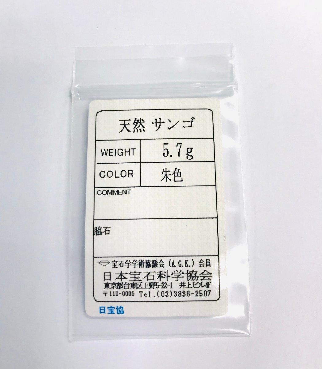 qoj.ZGW03　天然サンゴ　朱色　しずく型　ペンダントトップ　ソーティング付き_画像6