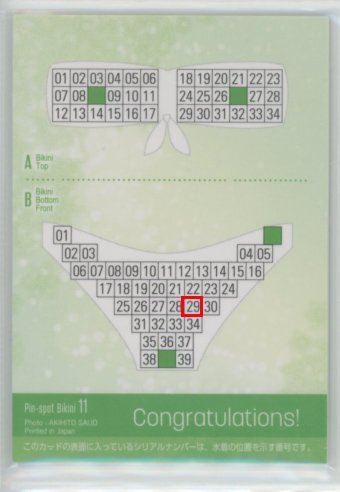  не груша один цветок 3 Vol.3 булавка spo бикини карта 11 #29/39 (B: белый брюки передний ) /HIT'S 250626-117