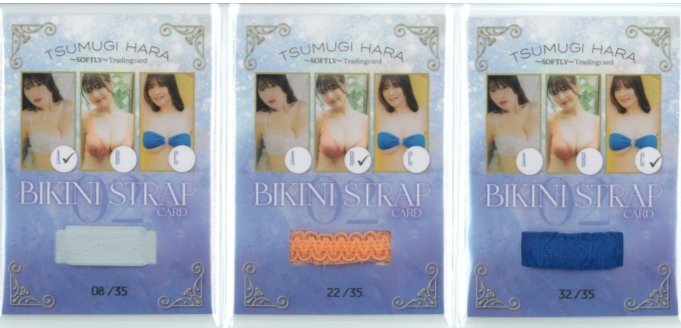 [ выгода комплект ]. нагружать .2 ~SOFTLY~ бикини ремешок карта 02 все 3 вид /WooHoo 251120-103