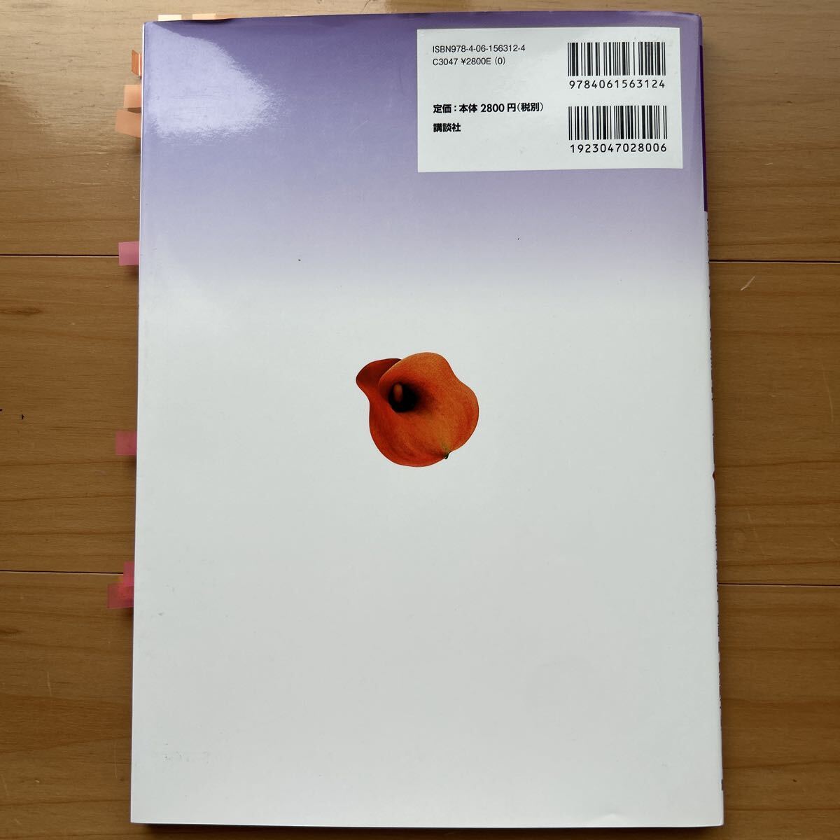 【送料込み】 わかりやすい薬学系の統計学入門　講談社_画像2