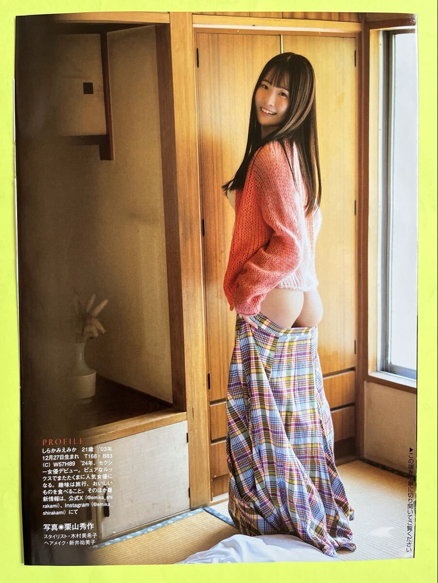 FL 1* белый сверху . цветок * вырезки 8P( переплет часть нераспечатанный ) C cup FLASH flash 2025 стоимость доставки 140 иен ~