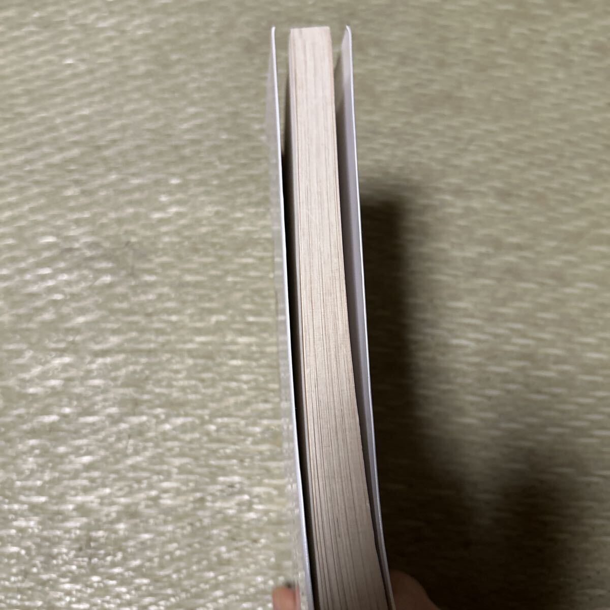 「男の自炊入門　まんが版　豪快・簡単・楽しくつくれる」出井州忍／著_画像6