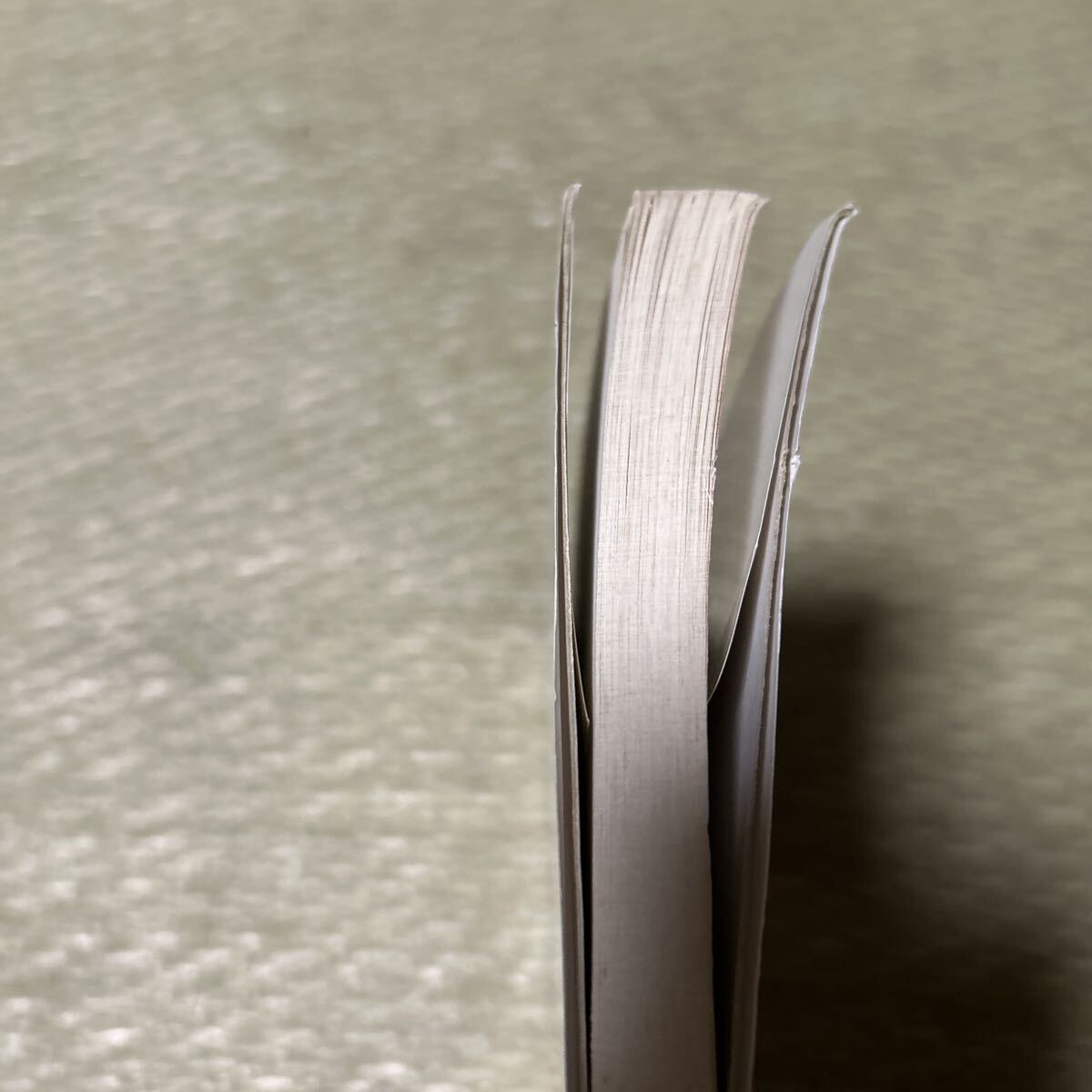 「男の自炊入門　まんが版　豪快・簡単・楽しくつくれる」出井州忍／著_画像7