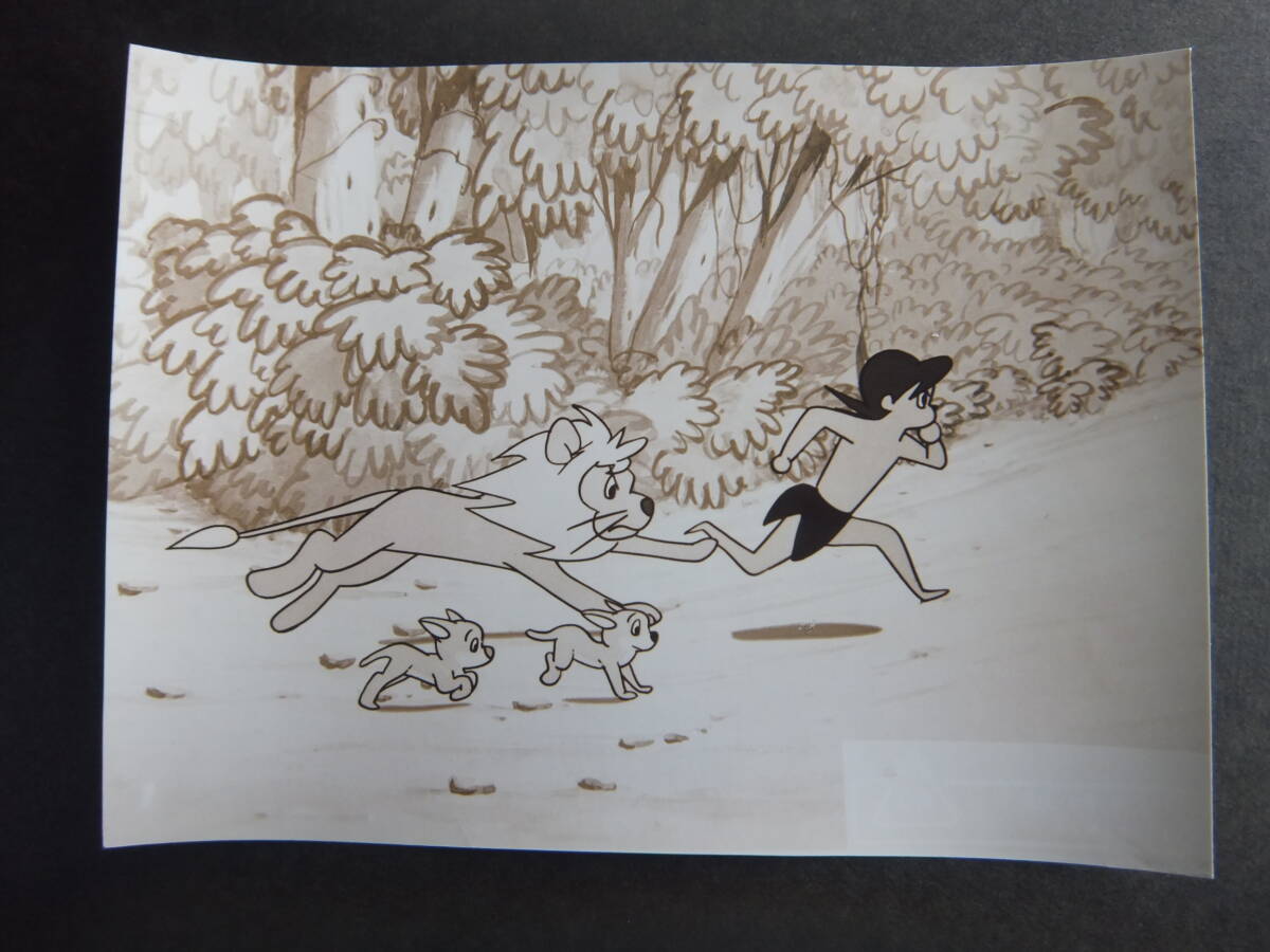 東映動画【狼少年ケン・おく病なライオン】スチール写真★②_画像1