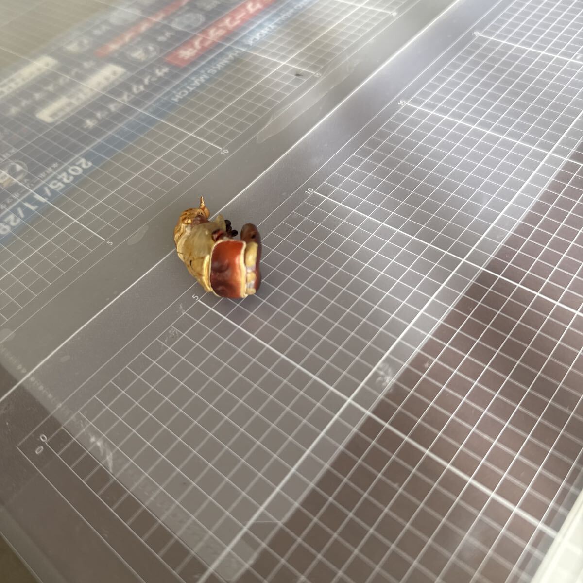 チョコエッグチョコQ シークレット　クワガタ　サナギ　海洋堂_画像3