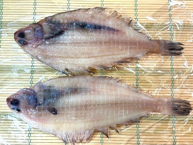 築地丸中　山かれい干し２枚（島根県産）！かれい カレイ 山カレイ居酒屋_画像4
