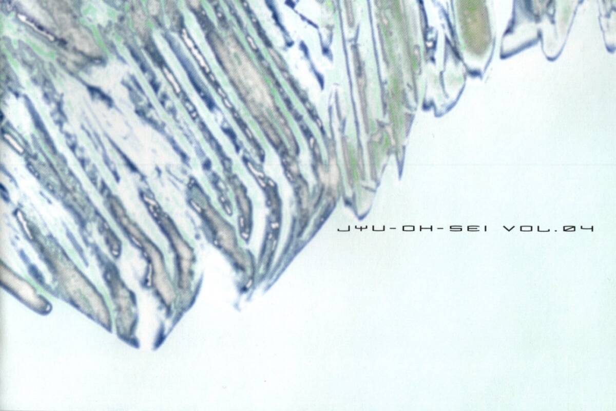 獣王星 VOL.4_画像4