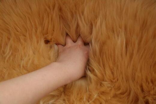  популярный рекомендация * мутон высококлассный роскошь melino вид . натуральный мутон 100% коврик 2P/70*200 мутон ковер мутон флис мех коврик 