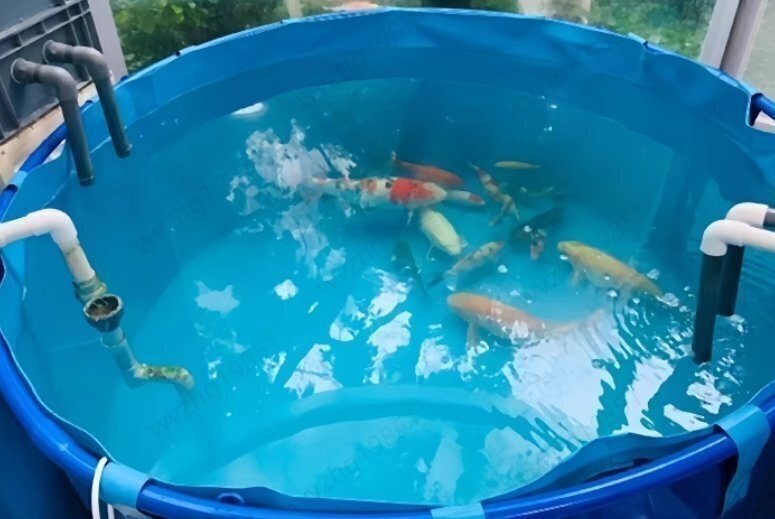 大型円形の帆布魚池厚手支柱 防水布貯水プール養殖水槽錦鯉一時飼育池900L_画像3