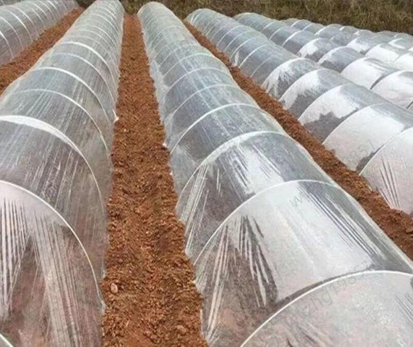  прозрачный пластик плёнка крыша для парник изменение сиденье небо занавес PE покрытие толщина 0.12mm. долговечность las шик плёнка растения культивирование ширина 6m× длина 10m