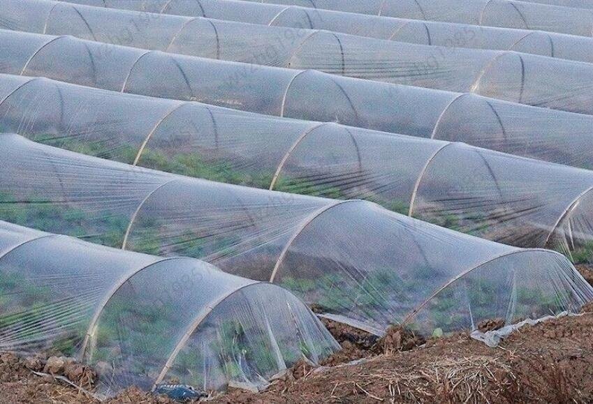  прозрачный пластик плёнка крыша для парник изменение сиденье небо занавес PE покрытие толщина 0.12mm. долговечность las шик плёнка растения культивирование ширина 5m× длина 15m