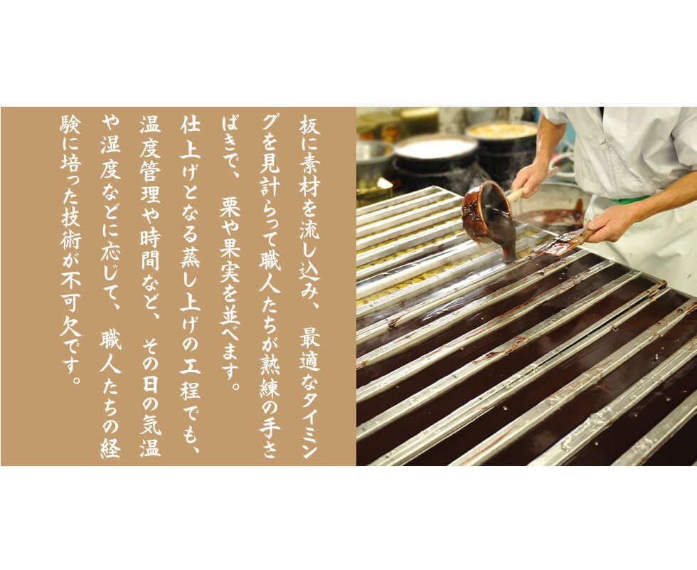 わかやま 蒸し ようかん 4種類 5個セット 送料無料 ようかん 羊かん 羊羹 栗羊羹 スイーツ お茶うけ_画像4