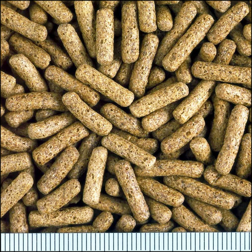 ●　カメプロス大スティック60g　キョーリン　ひかり(Hikari)　水棲ガメ用浮上性フード　新品　消費税0円　●_画像2