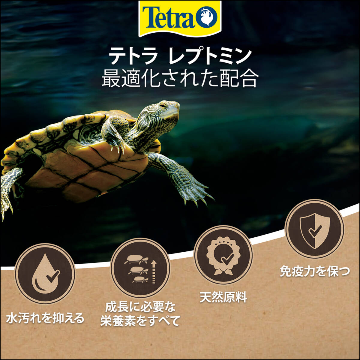 ●　レプトミン中粒70g　テトラ(Tetra)　水棲ガメ用浮上性フード　新品　消費税0円　●_画像6